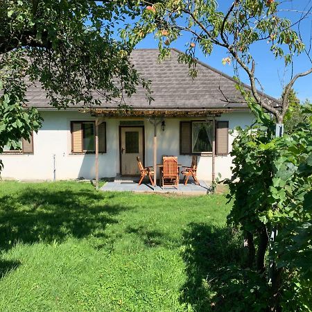 Urlaub Im Weingarten Winten  Екстериор снимка