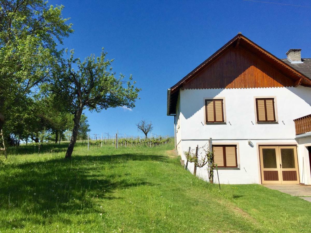 Urlaub Im Weingarten Winten  Екстериор снимка