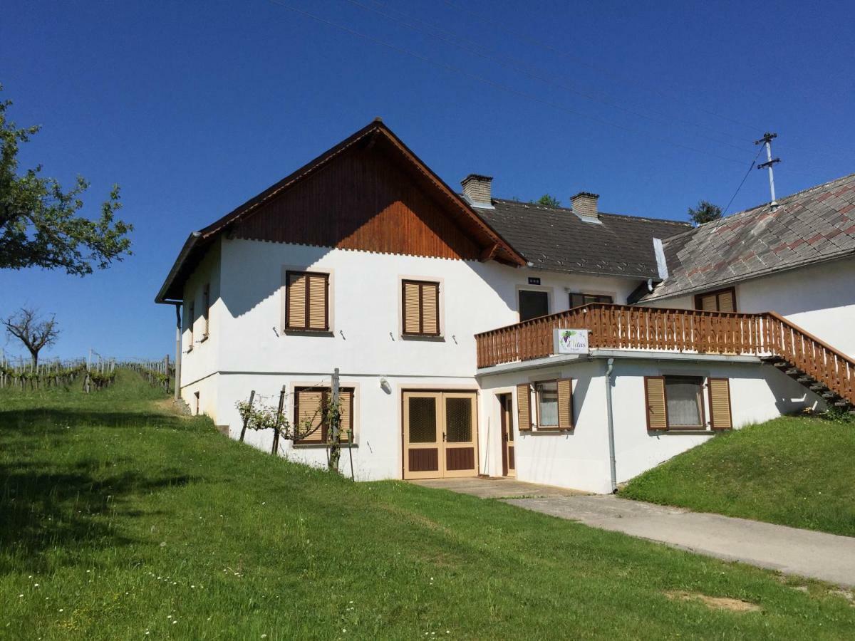 Urlaub Im Weingarten Winten  Екстериор снимка