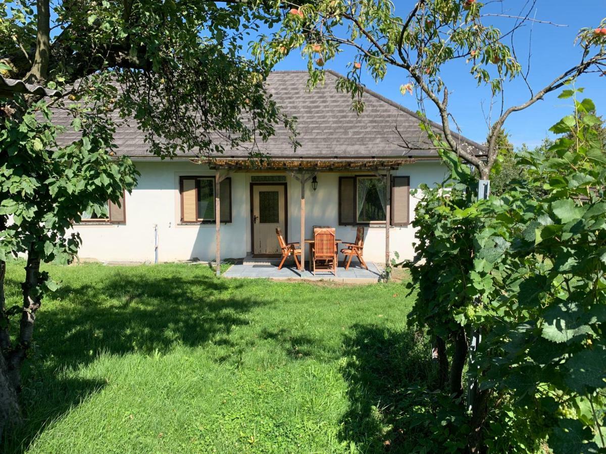 Urlaub Im Weingarten Winten  Екстериор снимка