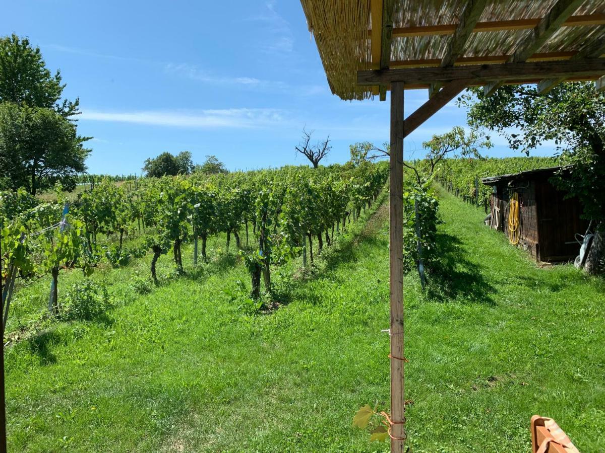 Urlaub Im Weingarten Winten  Екстериор снимка