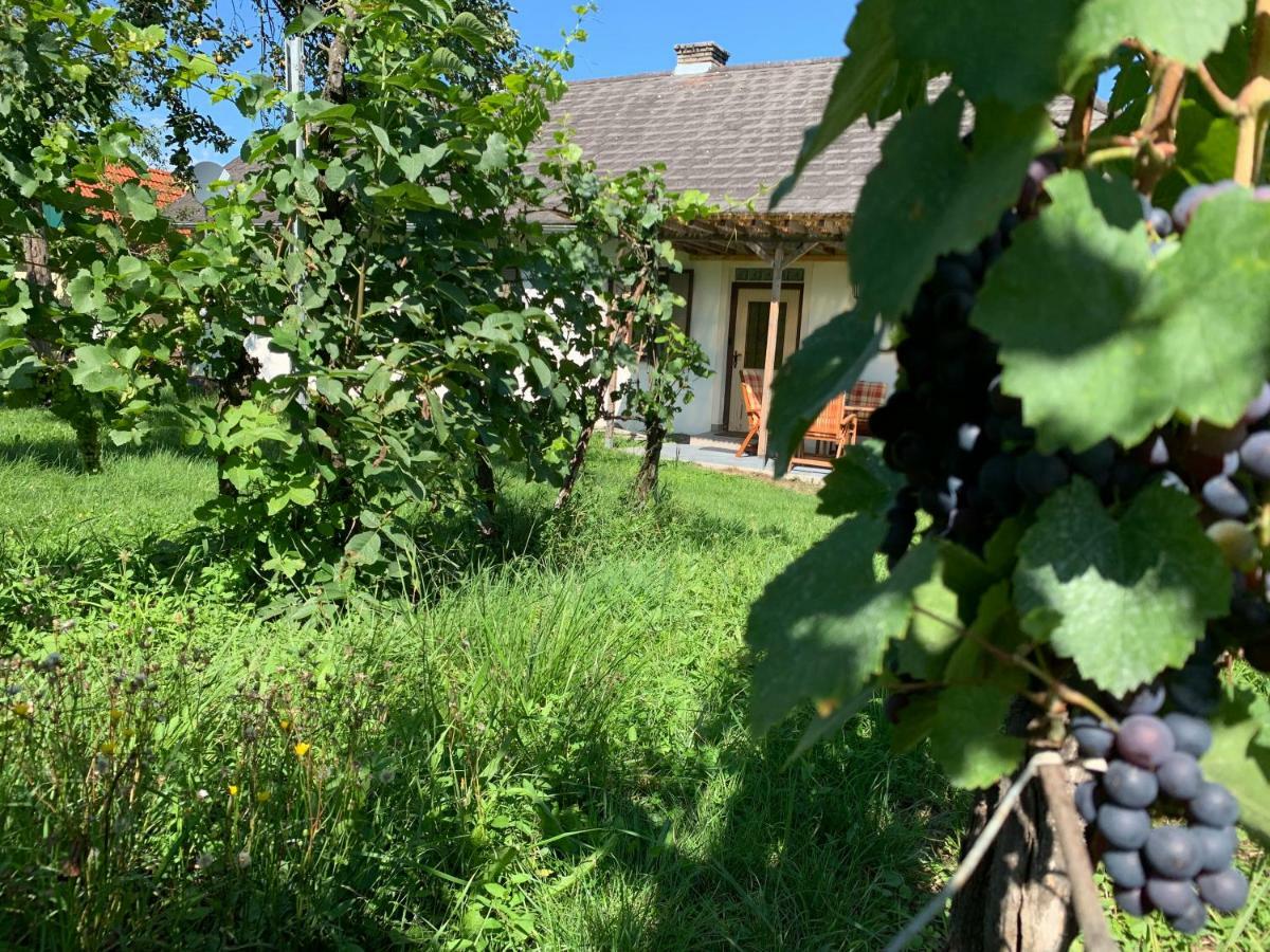 Urlaub Im Weingarten Winten  Екстериор снимка