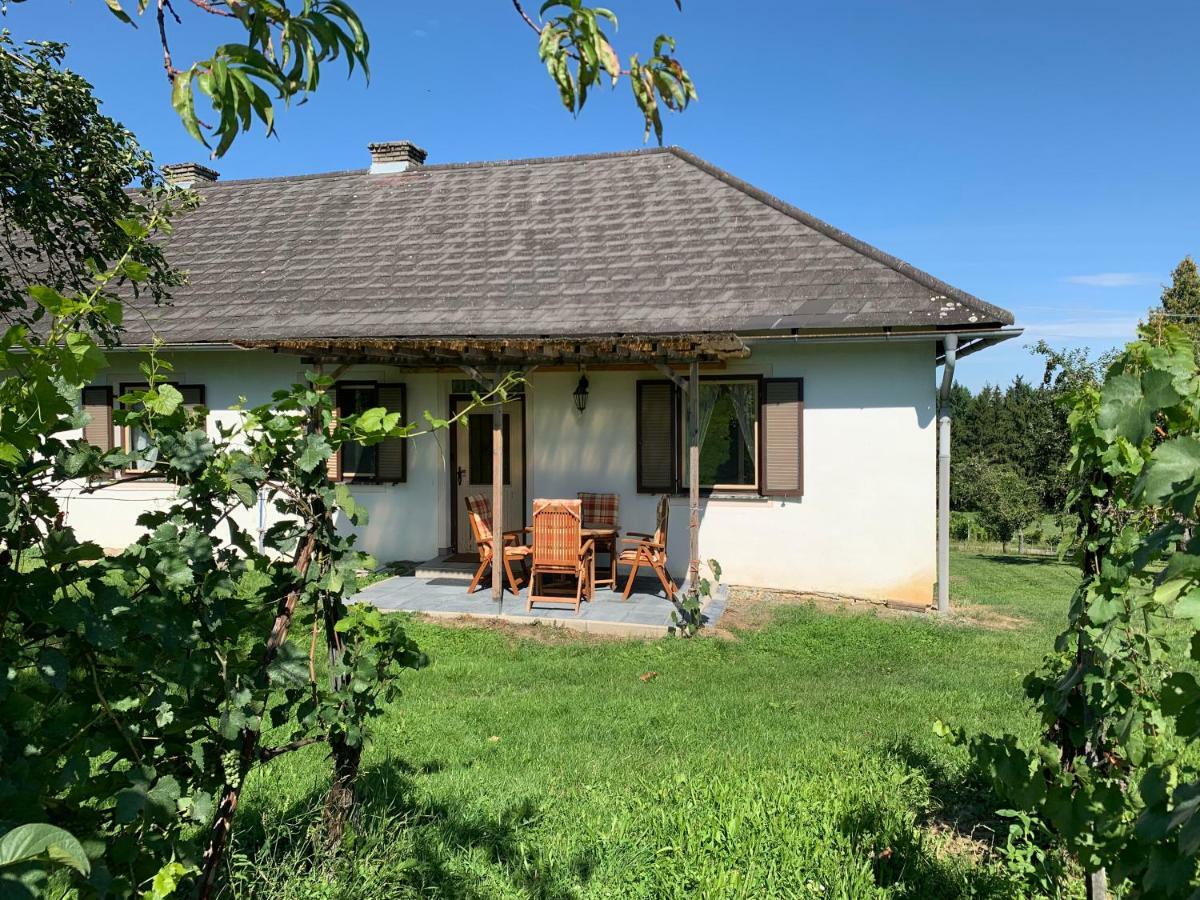 Urlaub Im Weingarten Winten  Екстериор снимка